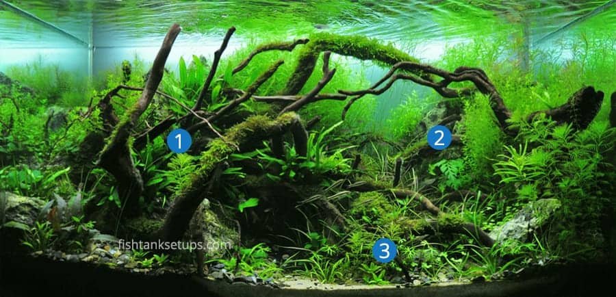aquascaping-focal-points