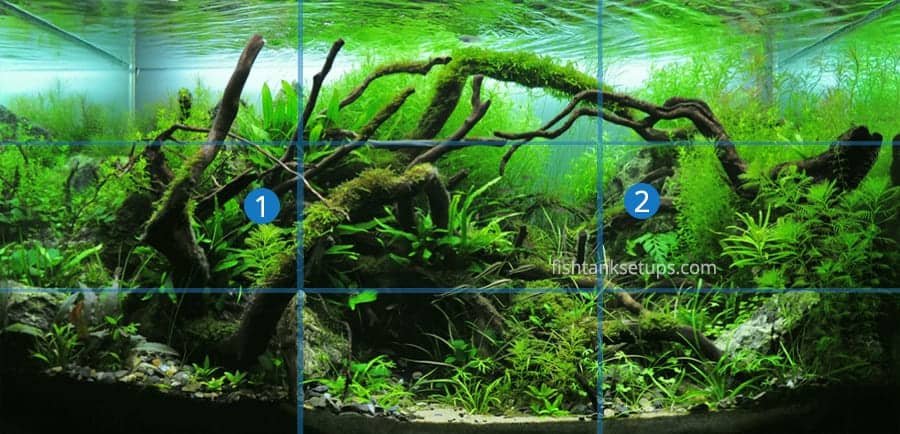 aquascaping-rule-of-thirds