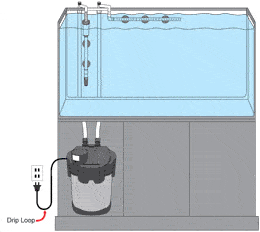 canister-filter-setup