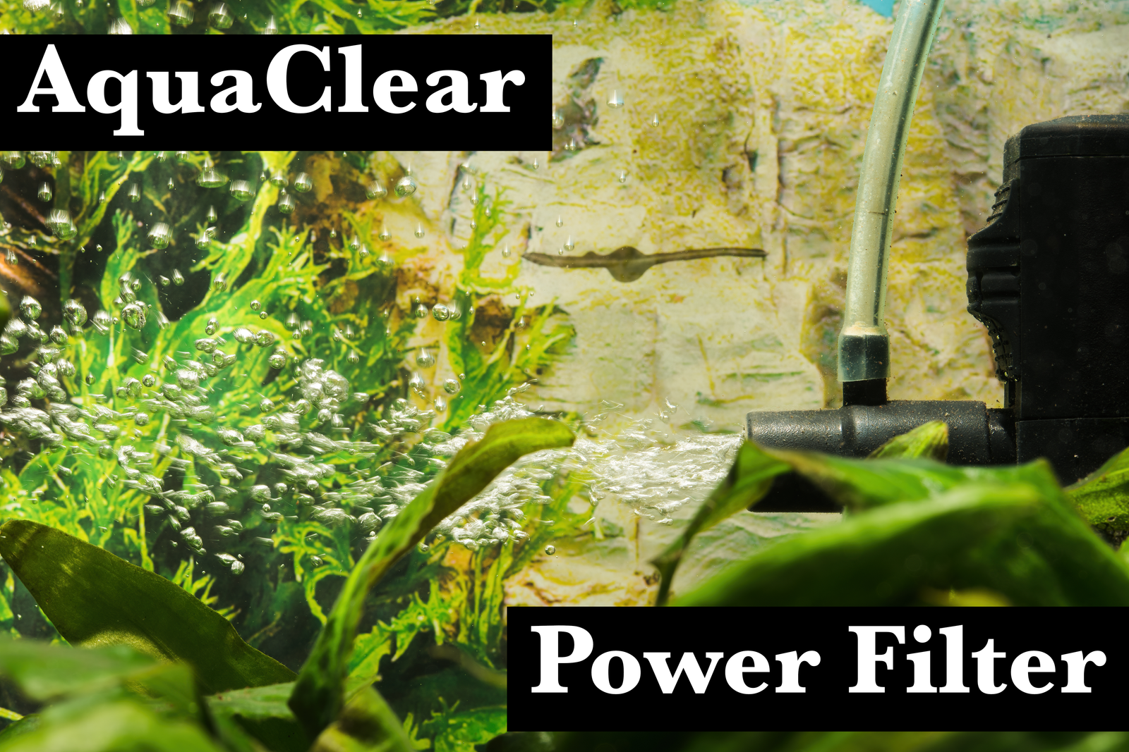 AquaClear Power Filter Review