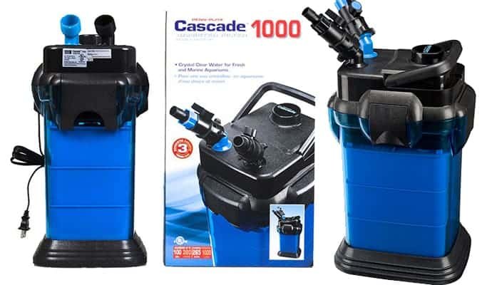 Penn Plax Cascade 1000 Canister Filter Review