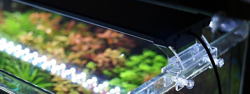 best-led-aquarium-lighting