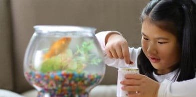fish-tanks-for-kids