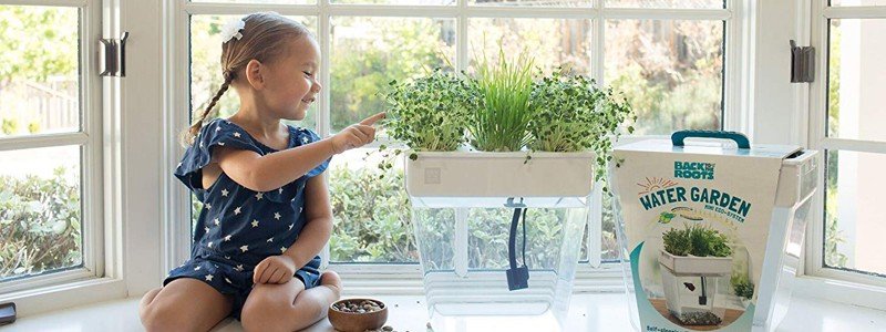 fish-tank-aquaponics