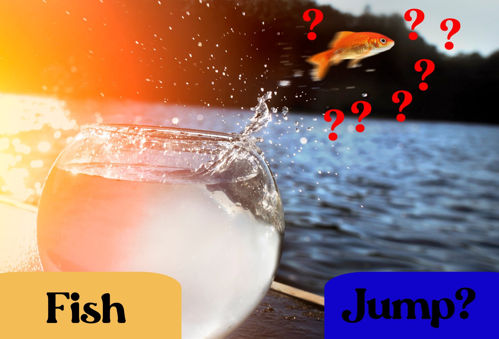Why Do Fish Jump Out Of The Tank?