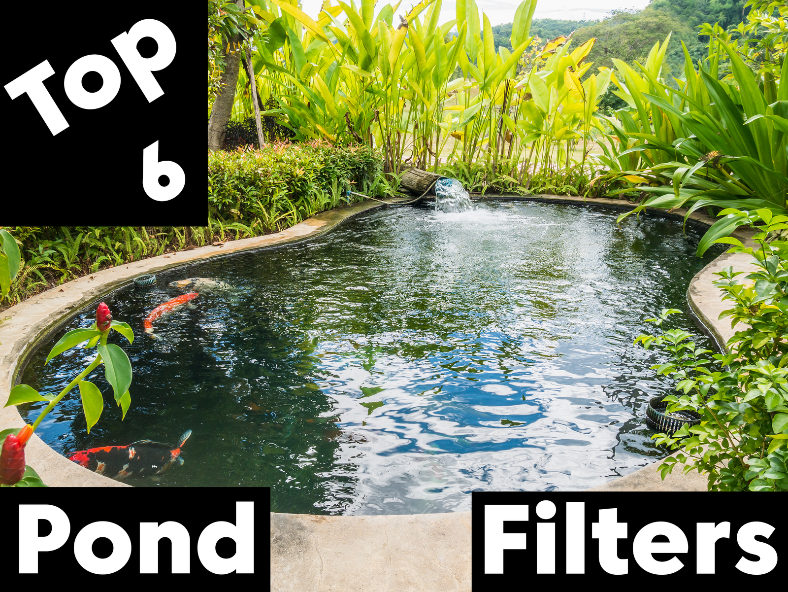 Top 6 Best Pond Filters