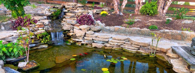 best-pond-filters