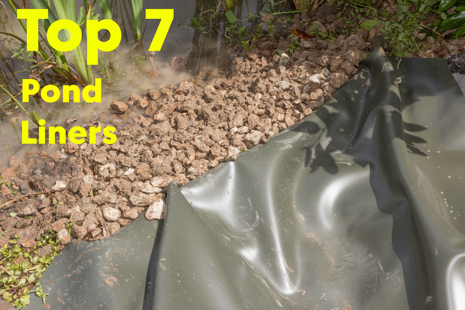 Top 7 Best Pond Liners