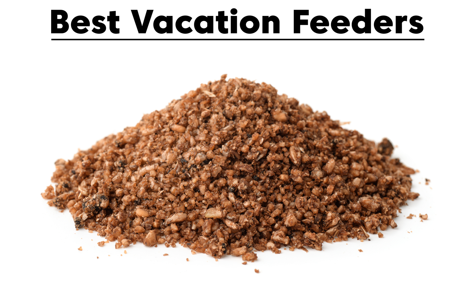 Best Automatic Vacation Feeder for Fish