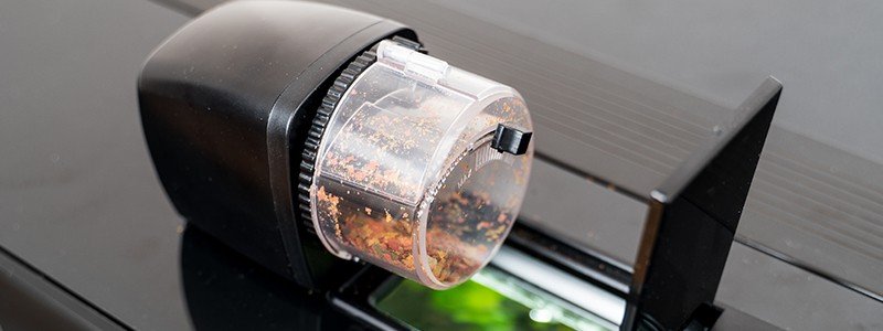 best-automatic-vacation-feeder-for-fish
