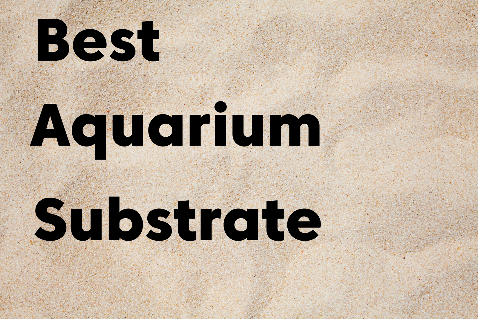 Best Aquarium Sand Substrate for Saltwater, Freshwater, & Cichlid Tanks
