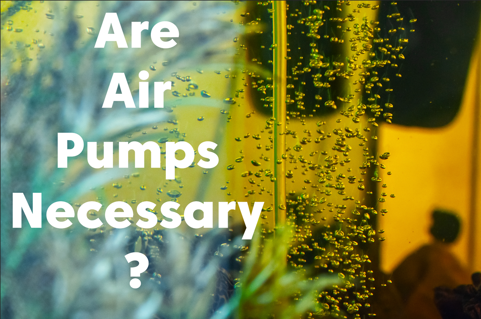 Is an Air Pump Necessary for an Aquarium?