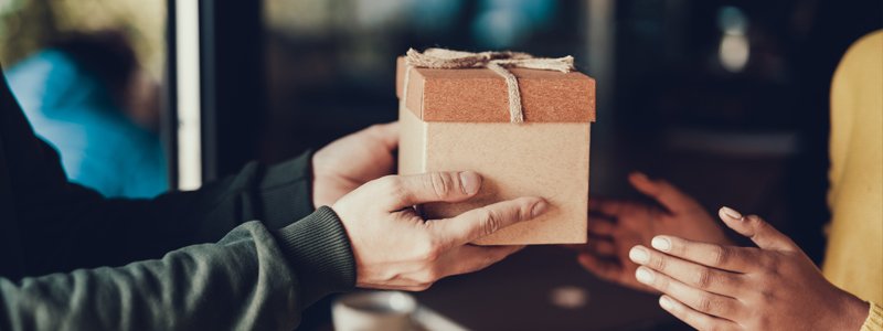 Best Gifts for Aquarium Lovers