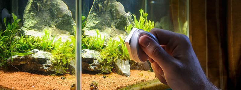 fish-tank-glass-cleaner