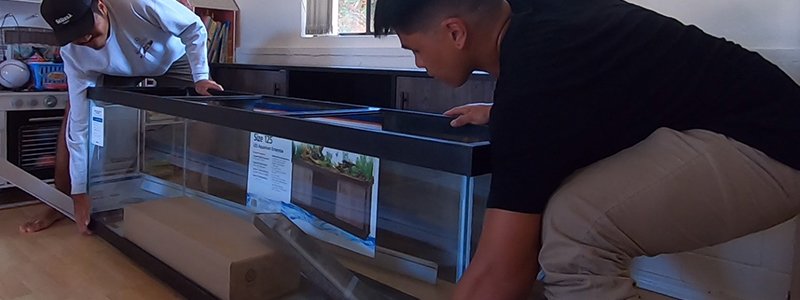 How Much do Fish Tanks Weigh?