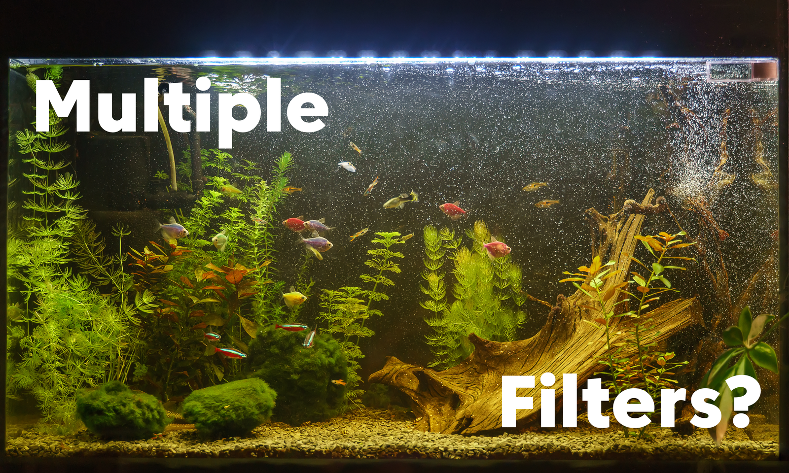 Is It Okay to Have Multiple Fish Tank Filters?