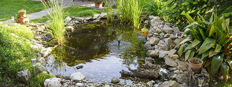 how-deep-does-a-fish-pond-need-to-be