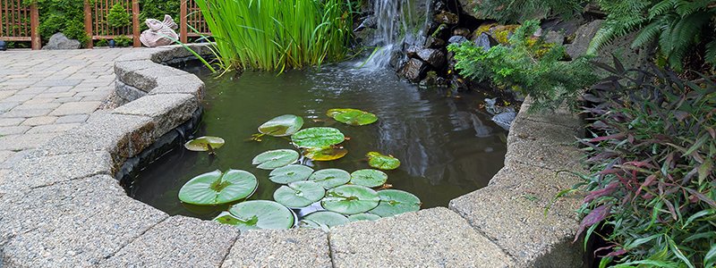 do-small-ponds-need-a-pump