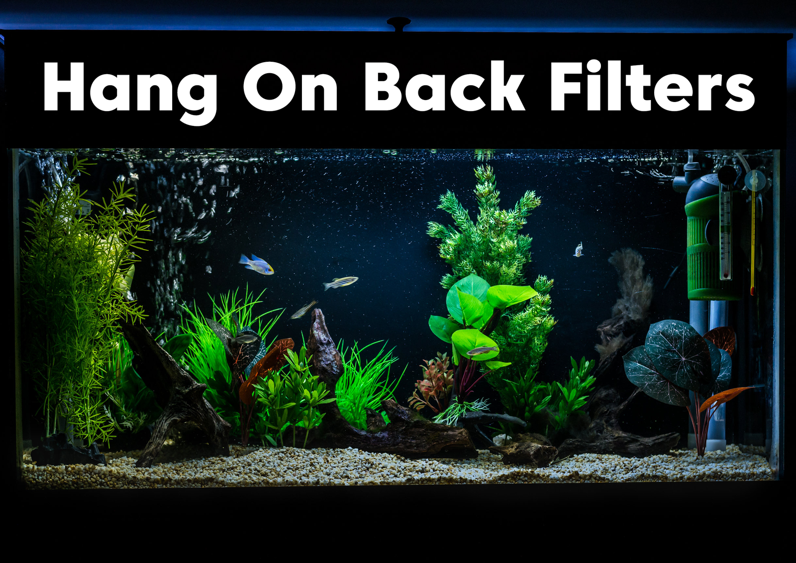 Best Hang on Back Filters – Buyer’s Guide