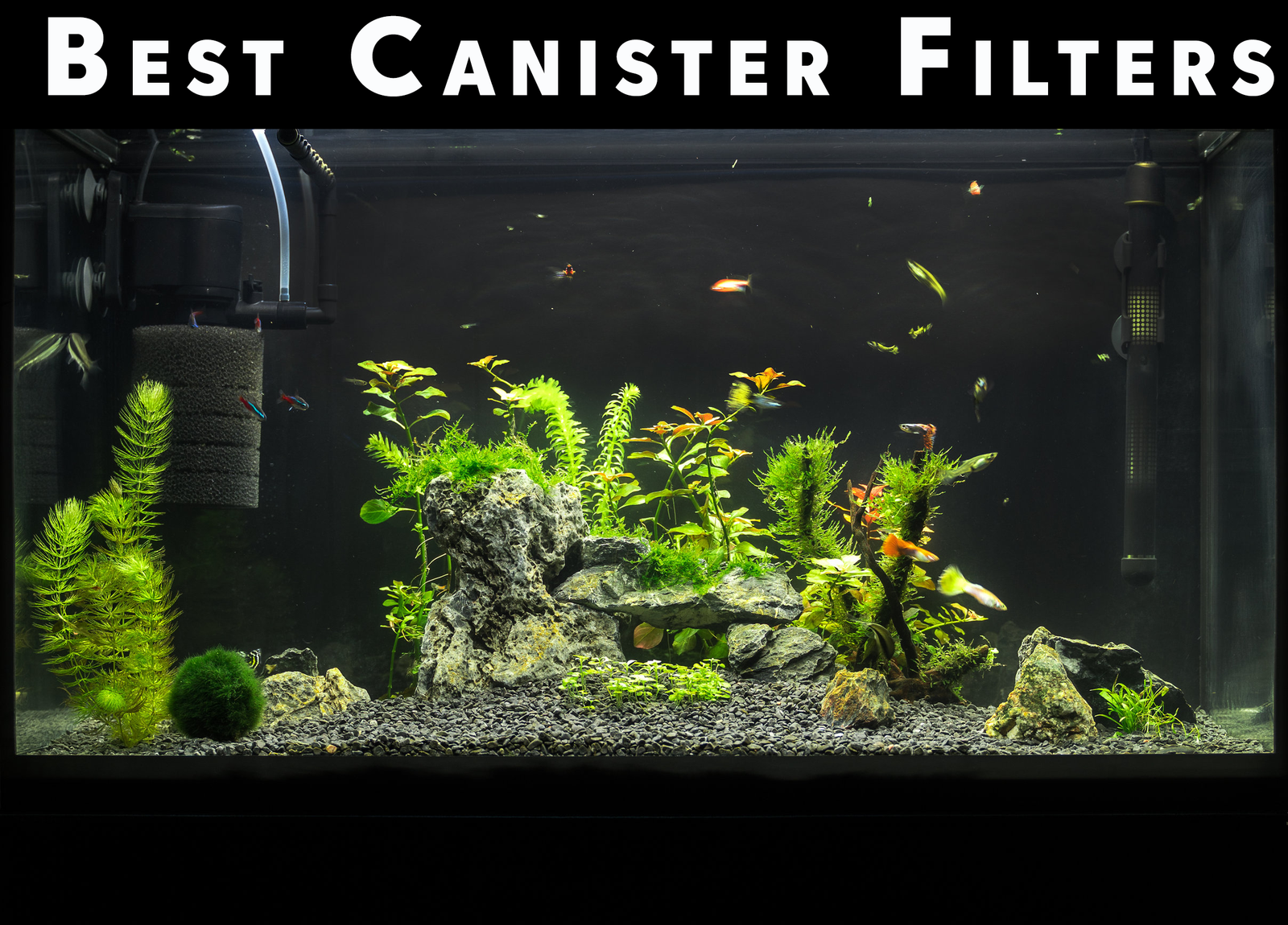 Best Aquarium Canister Filters – Buyer’s Guide