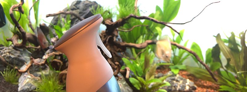 Can Air Freshener Affect My Aquarium?