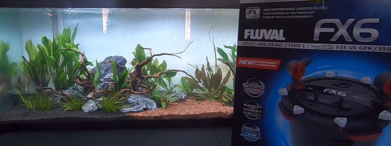 Fluval Fx6 Canister Filter Review