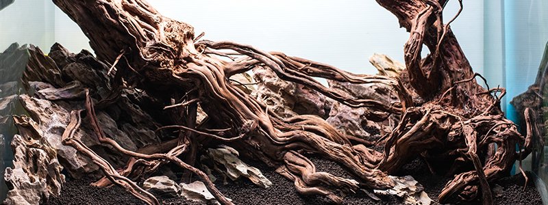 where-does-aquarium-driftwood-come-from