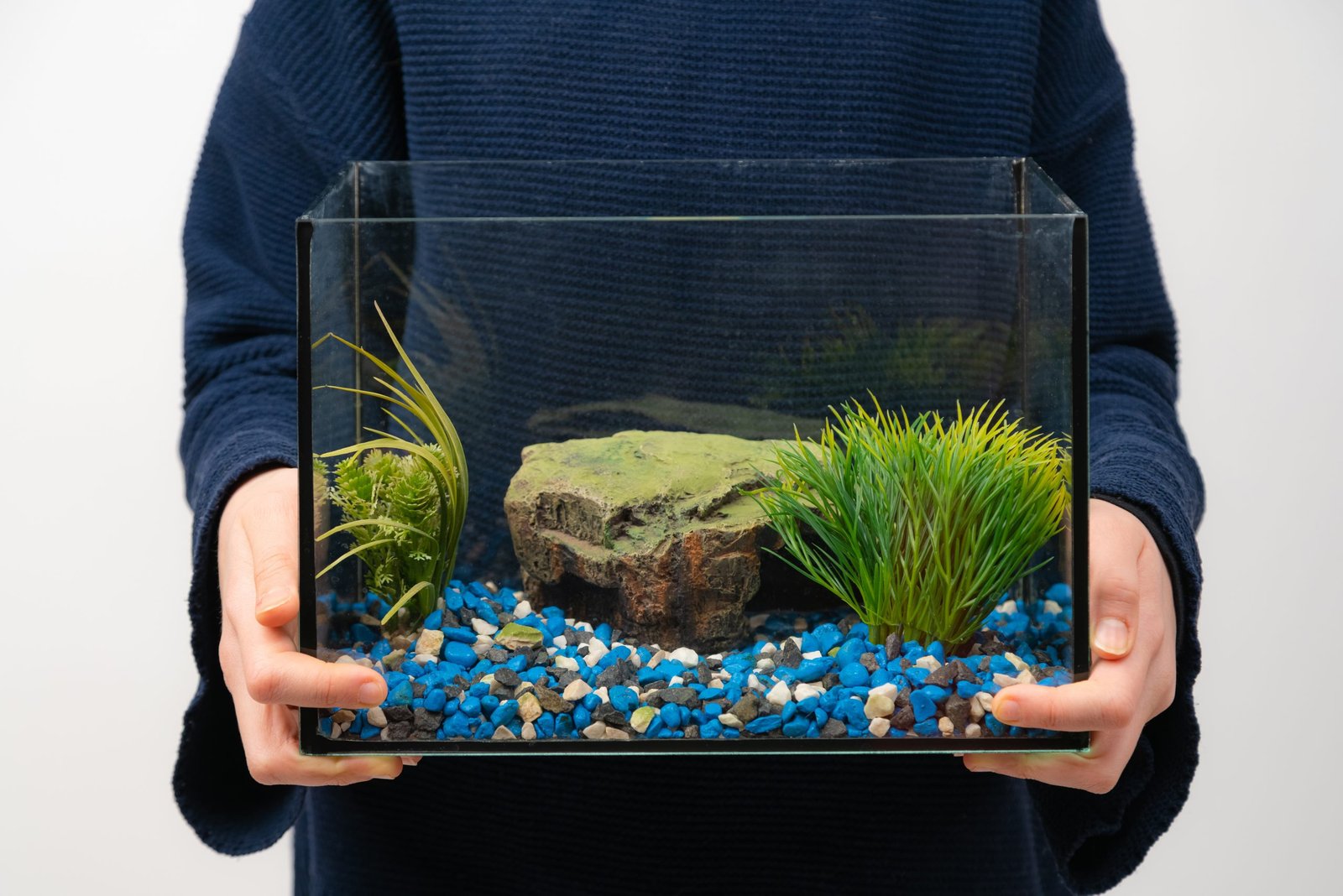 How to Set Up Your First Aquarium