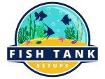 Fish Tank Setups