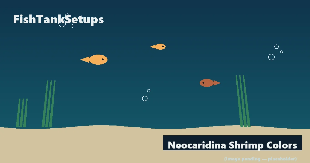 Neocaridina Shrimp Colors: Cherry, Blue, Yellow, Orange Grades Compared