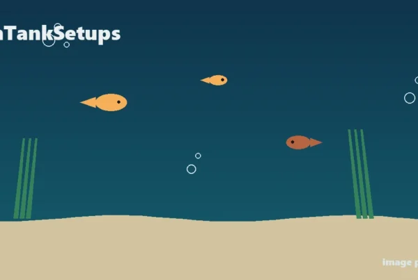 FishTankSetups placeholder image — pending proper guppy lifespan photo